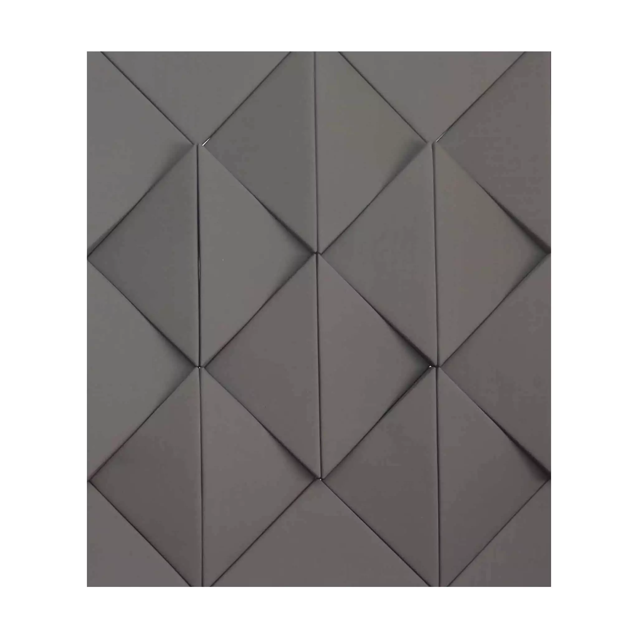 Panel Model: 3D GRAY Image